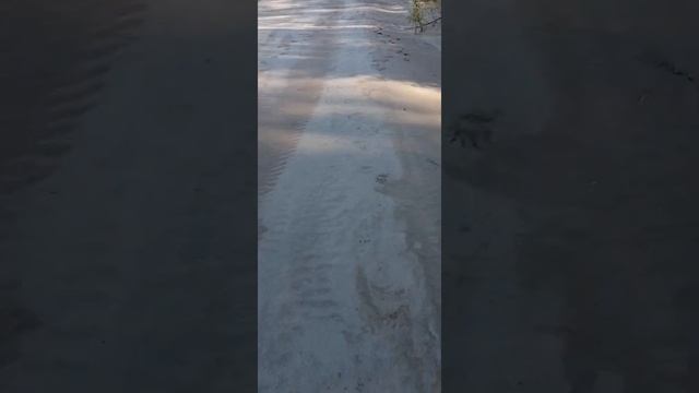 Медвежьи следы. Внимание возможно использование ненормативной лексики!!! смотреть онлайн