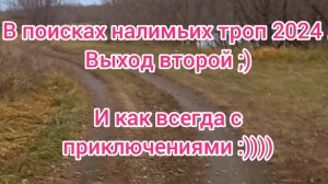 поисках налимьих троп 2024 . Рыбалка 2024 . Ловля налима на донку . Рыбалка поздней осенью 2024 .