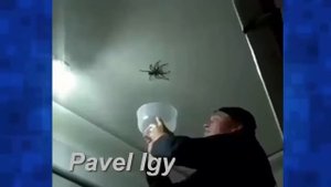 ТЕСТ НА ПСИХИКУ, ПОПРОБУЙ НЕ ЗАСМЕЯТЬСЯ, а у тебя не получится)