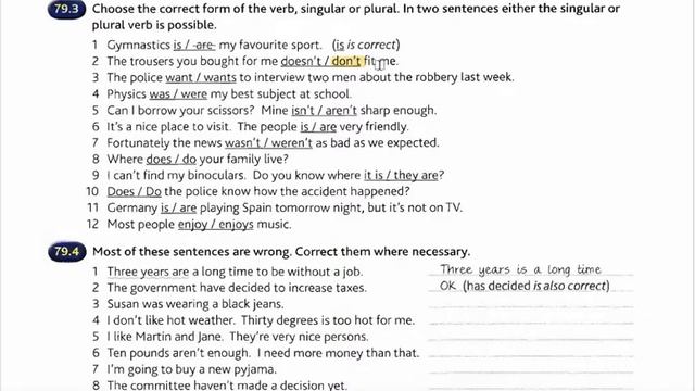 Unit 79 Singular and plural Murphy English Grammar in use Exercise solving