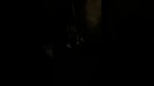 Константин Меладзе ,, Клетка,, ( включи атмосферу )