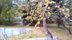 #ПрогулкаСзолотойОсенью 2#ИсполнюЛюбоеВашеЖелание))))