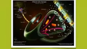 Как обновить мышление часть 5  Кэролайн Лиф