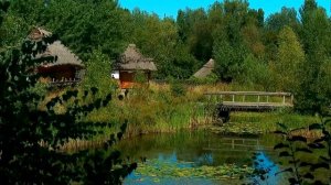 Заколдованный лес. Владимир Высоцкий