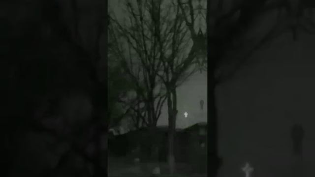 Природа без человека выживет но человек без природы - нет