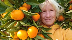 36. Снова на зиму в Абхазию. День 36, 11.11.2024. Мандариновый рай, пикник на  -2, костёр и приветы