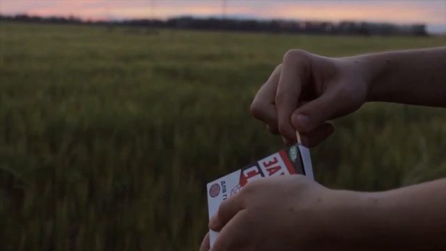 Роман Дорофеев - ВЕЧЕР смотреть онлайн