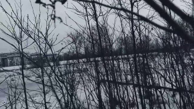 VID 20240302 183840 В тяжелые времена (Франтишек Гельнер)...Павел Васильев Лахтинский смотреть онлайн