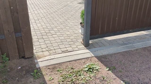 Усиленная парковка на 4 машины за два дня. Пасторское озеро Ленинградской области.