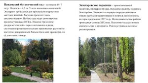 Флора и заповедные зоны Пензенской области