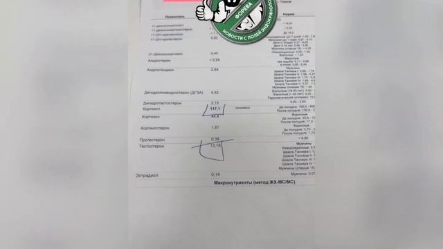 Гормональная система настоящего полицейского #эндокринолог #эндокринологмосква #гормоны #греков