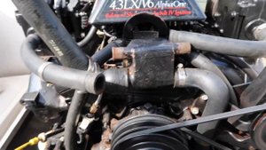 Mercruiser 4.3 LX V6 Winterization