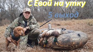 С молодым спаниелем Евой на утку.