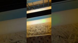 Обзор на светильники ЛСО-05-2х40-002-ухл4 1992 года