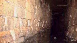 ОНИ РЕАЛЬНЫ? Монстры снятые на камеру