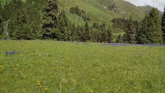 По дороге на водопад Текес. 11 июня 2022 г. смотреть онлайн