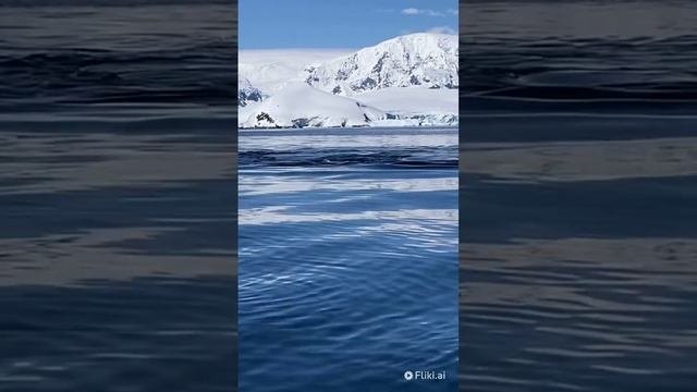 морские киты