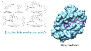 Ингибиторы белок белковых взаимодействий