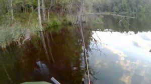 Хорошая рыбалка в карягах