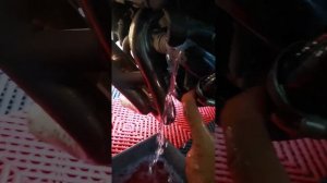 Yamaha MT09 Radiator Coolant Change