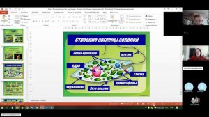 8 класс_13.11_3_Жгутиконосцы. инфузории