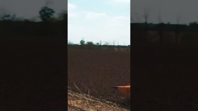 Жатка TETRAХ #shorts #shortvideo #уборка #подсолнечника