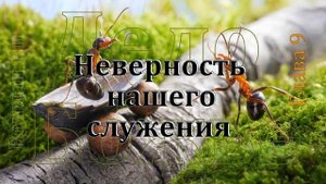 "Неверность нашего служения" Вочман Ни