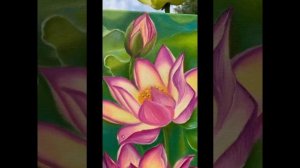 ЛОТОС | ЧТО ЗНАЧИТ ЦВЕТОК ЛОТОСА | СИМВОЛ ПРОСВЕТЛЕНИЯ