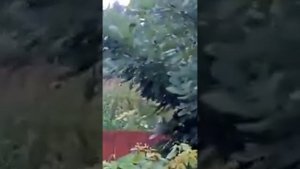 Шаровая молния в Новосибирске