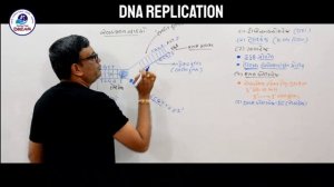 L-09 | DNA REPLICATION | Molecular Basis of Inheritance | Ch.6 | Class 12