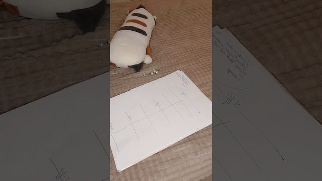 Техника квантовый каркас!