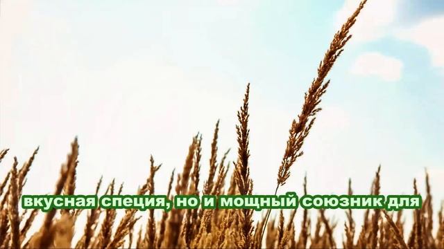 10 суперпродуктов для БЫСТРОГО снижения уровня креатинина и улучшения здоровья почек|  здоровье