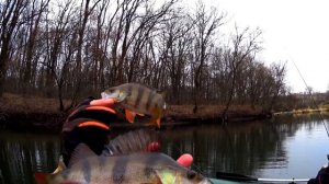 МИКРОДЖИГ и поиск пассивного ОКУНЯ на малой реке l Спиннинг в конце ноября l Рыбалка в лодке