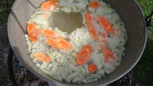 Юшка з сома на багатті
