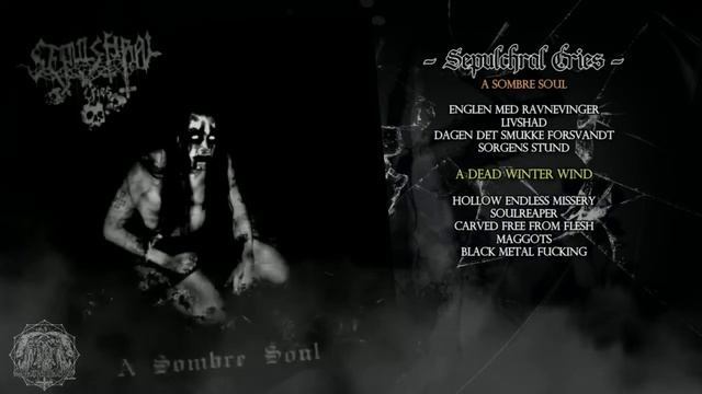 Sepulchral Cries. 2008 / A Sombre Soul #blackmetal #blackmetalmusic #blackmetalband смотреть онлайн