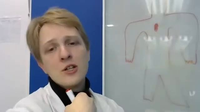 Имунная система