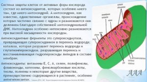 Фитотерапия атеросклероза. А.Алифанов.