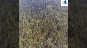 Речная рыбалка Камчатка