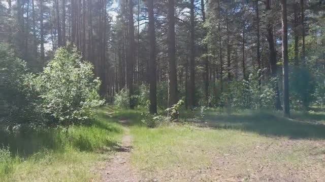 Через лес в женский монастырь на озере. Пешком в Введенскую Островную пустынь. ч.1