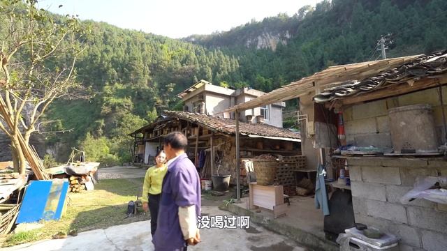 重庆一天坑里发现居住着几户人家，自给自足与世无争，宛如世外桃源｜Several families were found in the tiankeng in Chongqing, a paradis смотреть онлайн