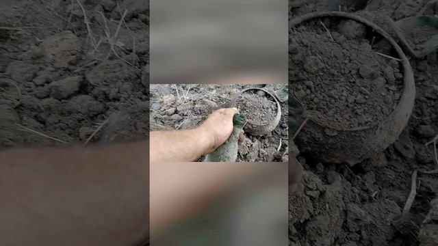 Тыне поверишь!. Раскопал старый чугунок а таммммммм.