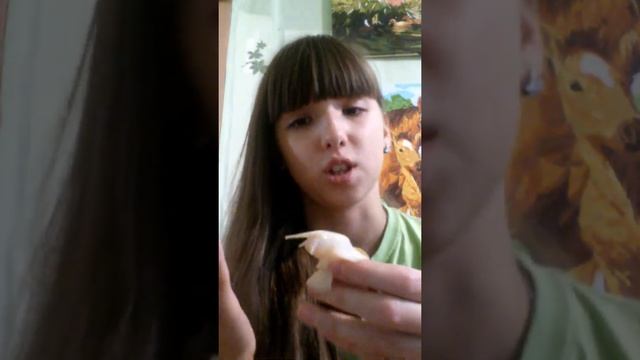 анатомия улиты смотреть онлайн