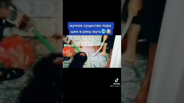 Нашли странное нечто на заброшке. #заброшеннаяроссия #мистика #заброшка #существо