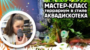 Мастер-класс - фантастический террариум в стиле "Аквадискотека"!