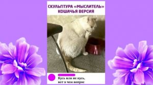 Кусь или не кусь, вот в чем вопрос? 💛💕💘