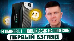 Fluminer L1 - новый асик на Dogecoin | Первый взгляд