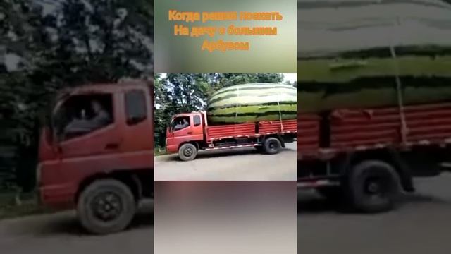 #мем#жиза#арбуз смотреть онлайн