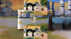 (YTPMV) Котенок по имени Гав четвертая история (1980) Scan