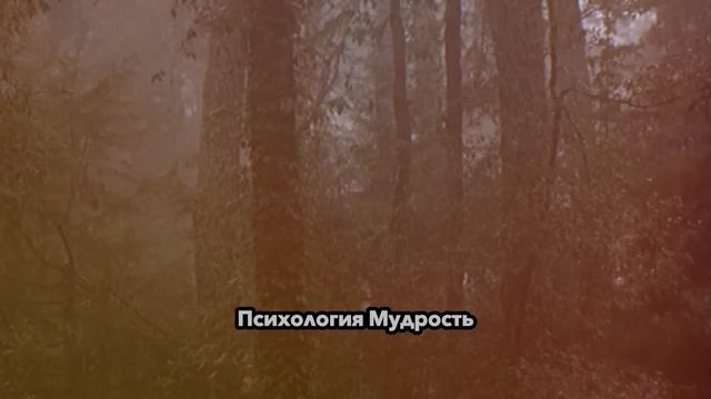 13 вещей, которые мужчины любят в женщинах | Психология Мудрость