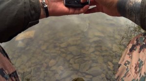 Карась на ХЕРАБУНУ. Судак на СПИННИНГ. Небольшой отчёт с крайней рыбалки.